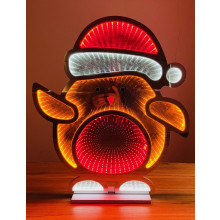 XG3806 60cm Infinity Mirror Robin Double Sided 297 LED'S
