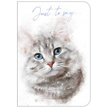 Blank (Just To Say) Cards Cat OTB17922