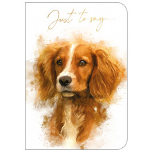 Blank (Just To Say) Cards Dog OTB17925