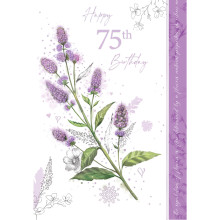 Age 75 Female C50 Cards OTB18010