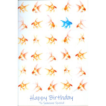 Someone Special Male C50 Cards SCB0570