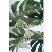 Partner Male C50 Cards SCB0561