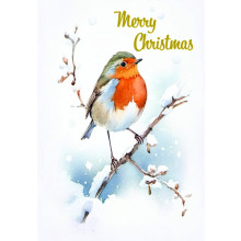 JXC2341 Open Robin C50 Christmas Card SCC0016