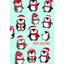 JXC2354 Open Juvenile C50 Christmas Card SCC0094