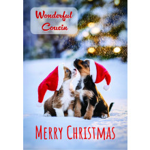 JXC2603 Cousin C50 Christmas Card SCC0368