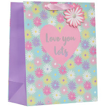 Gift Bag Love You Lots Large