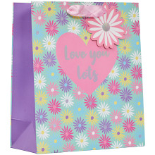 Gift Bag Love You Lots Medium