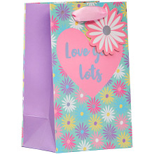 Gift Bag Love You Lots Small