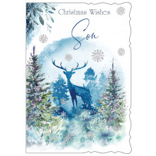 JXC0796 Son Trad 50 Christmas Cards