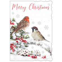 JXC0052 Open Robins 50 Christmas Cards