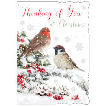 JXC0766 Thinking of You Robins 50 Christmas Cards
