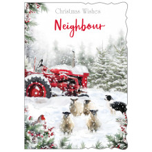 XE00153 Neighbour Male Trad 50 Christmas Cards
