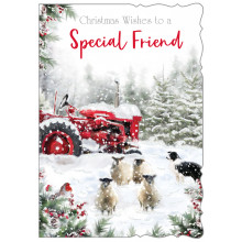 XE00154 Special Friend Male Trad 50 Christmas Card