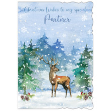 XE00159 Partner Male Trad 50 Christmas Cards