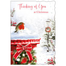 JXC1392 Thinking of You Robins 50 Christmas Cards