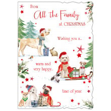 JXC1381 From All The Family Cute 50 Christmas Cards