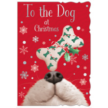 XE00355 To the Dog 50 Christmas Cards