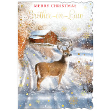 JXC1643 Brother-in-Law Traditional Christmas Card 50 X5025-1