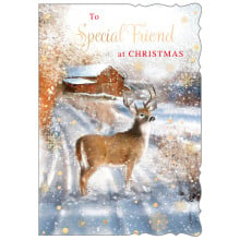JXC1664 Special Friend Male Traditional Christmas Card 50 X5025-7