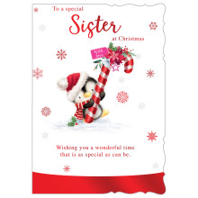 JXC2529 Sister Cute C50 Christmas Card X7010-5
