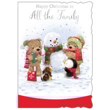 JXC3004 To All The Family Cute C50 Christmas Card X7050-9