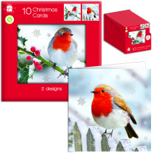 XG0601 10 Square Photo Robin Xmas Cards