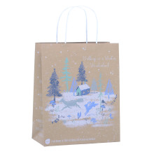 XG1108 Gift Bag Eco Nature Scene Medium