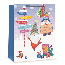 XG2613 Gift Bag Gonks Large