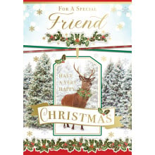 JXC0622 Special Friend Male Trad 50 Christmas Cards