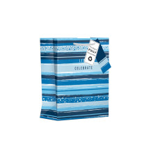 Gift Bag Celebrate Stripe Blue Medium