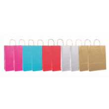 Paper Twist Bags Solid Colour Assorted Large Gift Bag