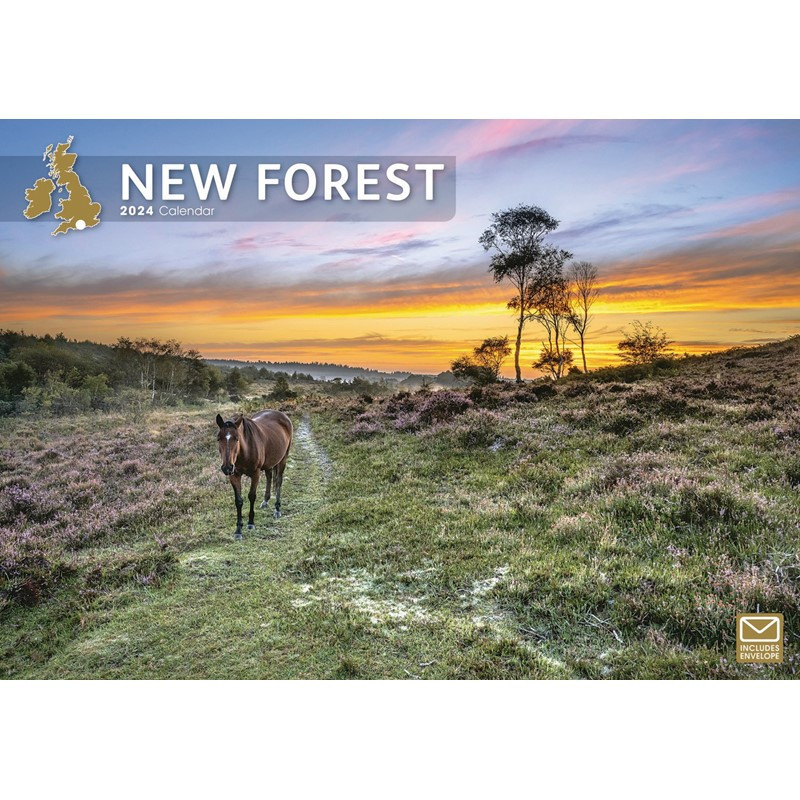 DF1220 A4 Calendar New Forest 2024 Calendars & Diaries Catalogue Ranges