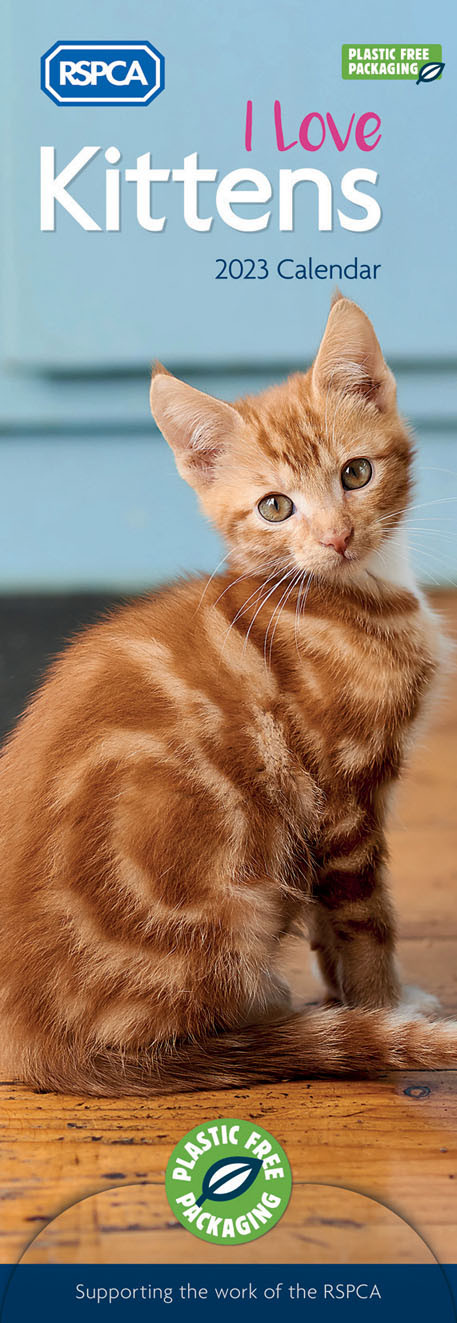 DE01103 Slim Calendar RSPCA Kittens - 2023 Calendars & Diaries